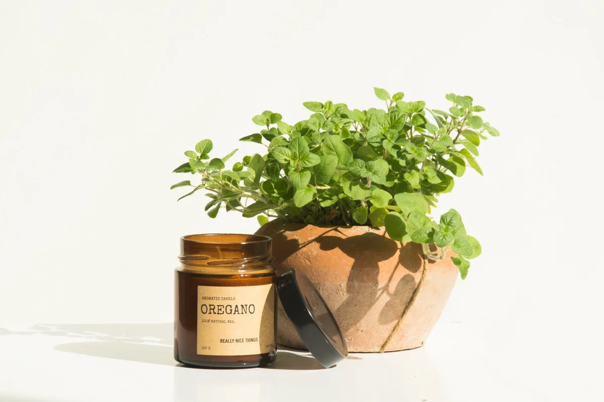 Tomato Leaf & Oregano Candle Set - Imagen 4