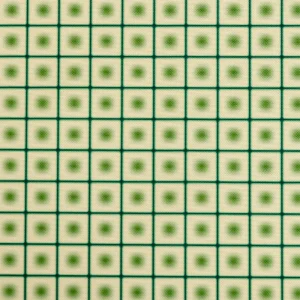 Tela Outdoor Lunar Grid  Green