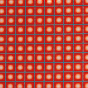 Tela outdoor Lunar Grid  Red Blue