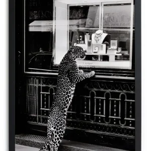 Cuadro Moldura Negra 40x30 (Cheetah 1)