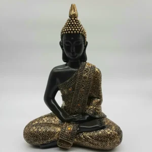 Buda Meditación Chico color