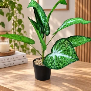 Planta Hojas Verdes (5234)