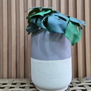 Florero bicolor