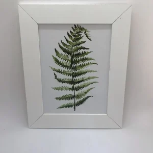 Cuadro 15×20