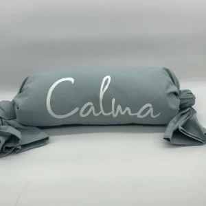 Almohadon Caramelo Celeste
