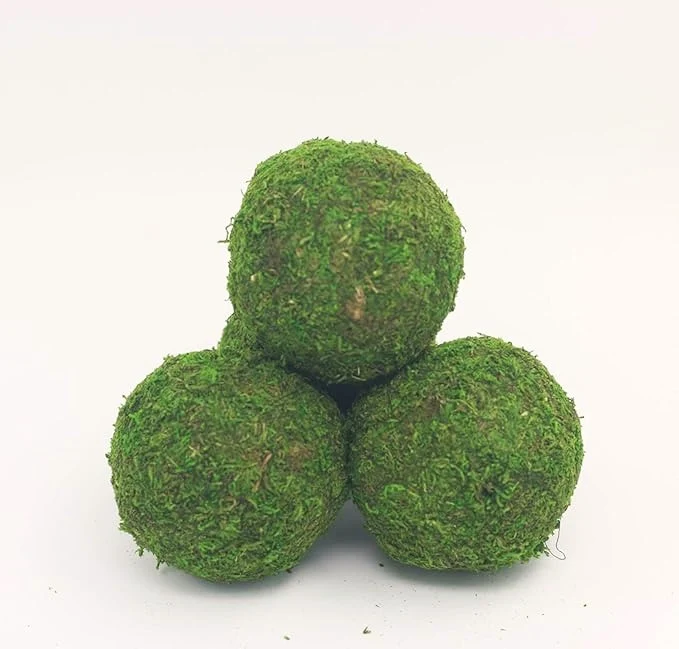 Bolas Decorativas de Musgo | 2 Tamaños - Imagen 5