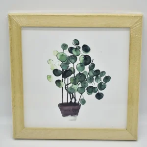 Cuadro 20×20 «Maceta Botánico»