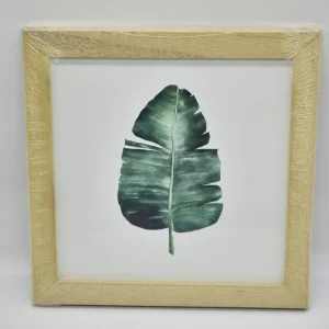 Cuadro 20×20 «Hoja Botánica»