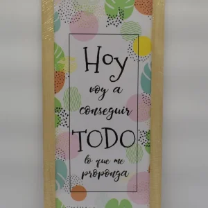 Cuadro 20×50