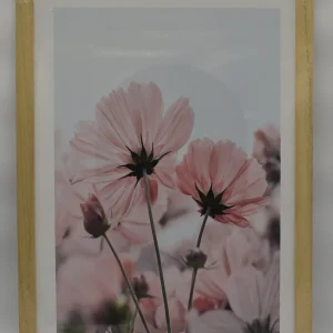 Cuadro 36×50