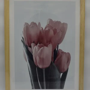 Cuadro 36×50
