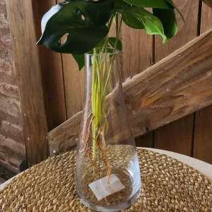 Florero botella (E203)