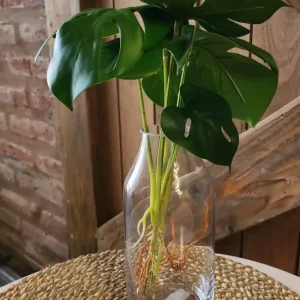 Florero botella (E271)
