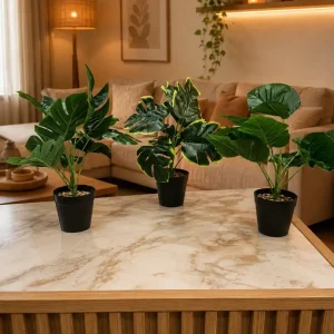 Planta chica