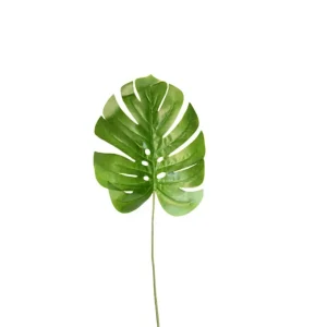 Hoja Monstera Grande