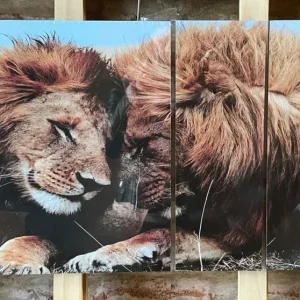Cuadro tríptico grande león