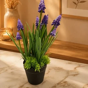 Maceta Lavanda
