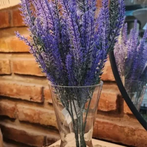 Rama lavanda