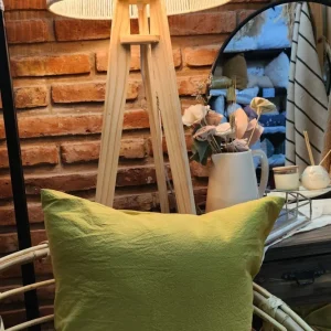 Almohadon 50×50 color lima